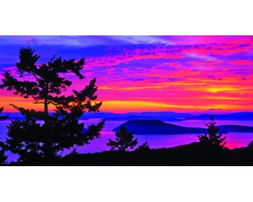Desk Calendar DC19